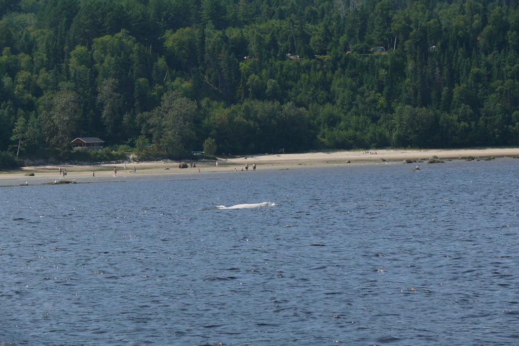 Riviere Petit Saguenay Villa Exteriör bild