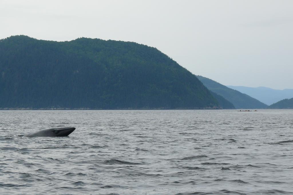 Riviere Petit Saguenay Villa Exteriör bild
